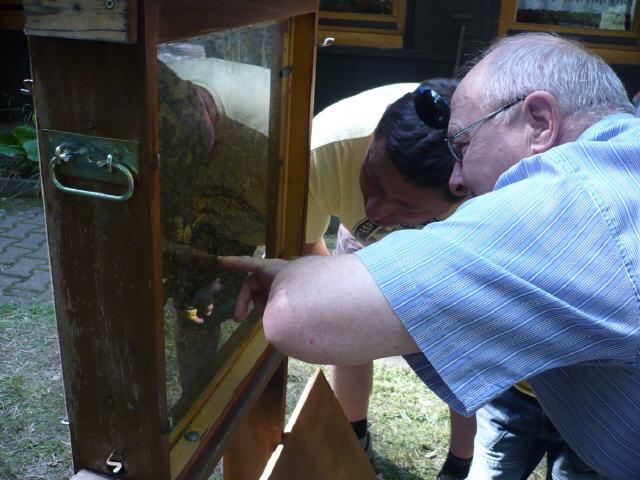 Blick in den Schaukasten