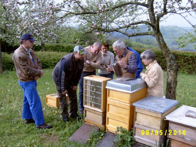 Probeimker bei der Unterweisung