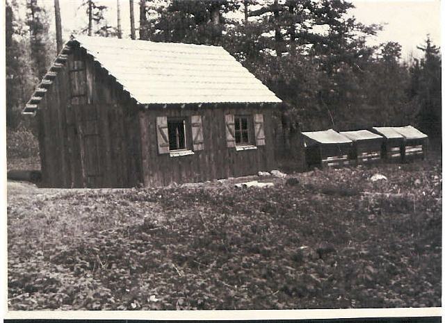 Bienenstand von Ernst Kipfmüller